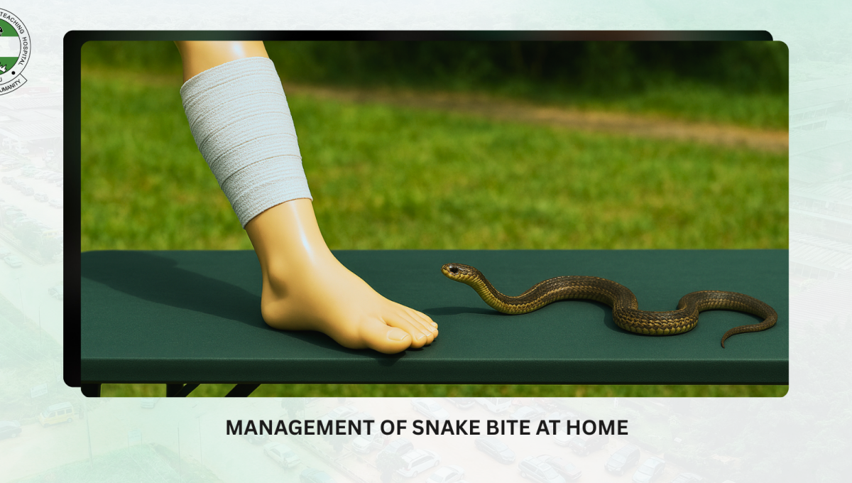 unth snake bite management unth snake bite management